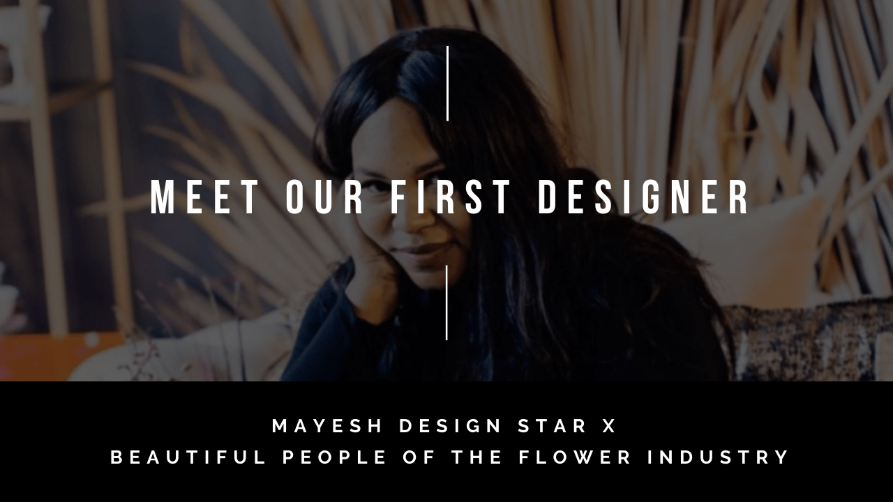 Mayesh Design Star Featured Designer Drew Rios
