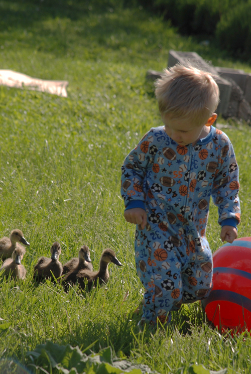2014 School's Out Photo Contest Winners McMurray Hatchery Blog