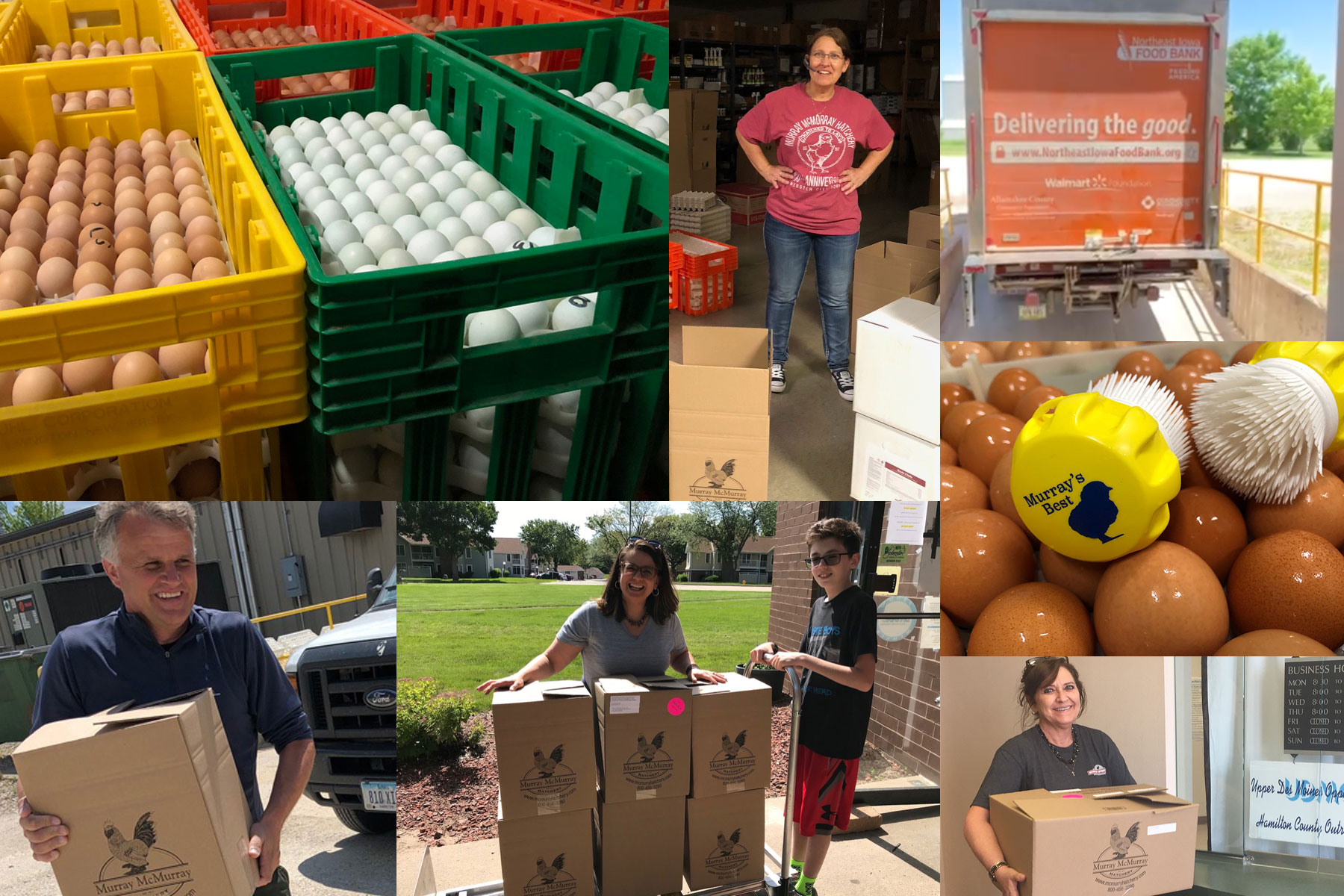 How Old Do You Have To Be To Donate Eggs In Texas