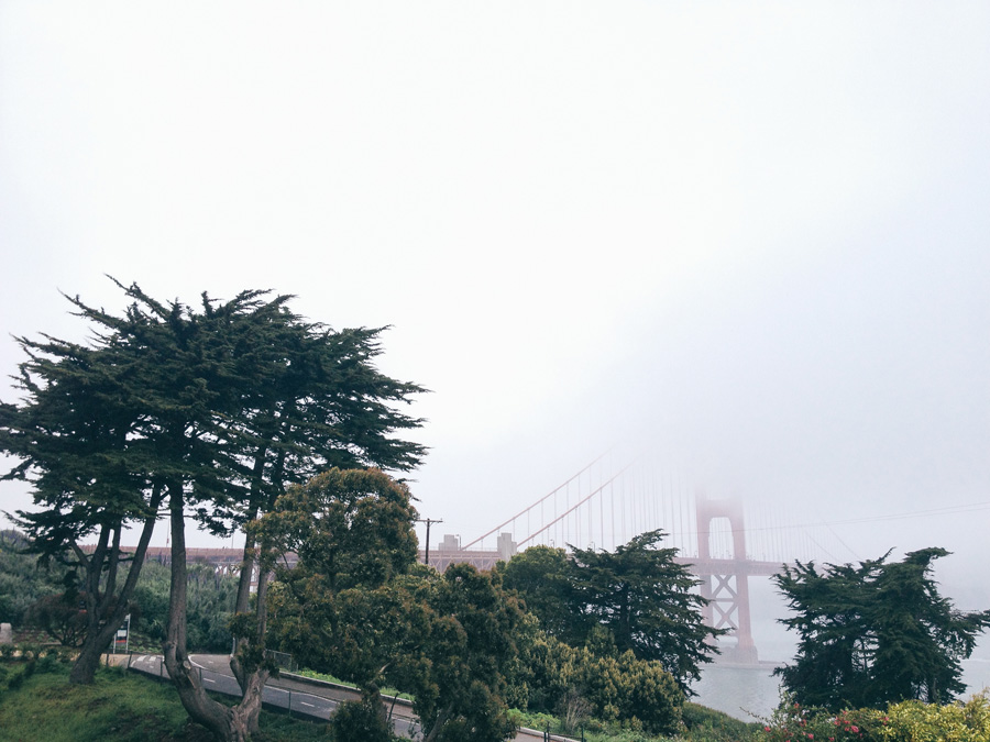 MellyLee-FMP-SF-017