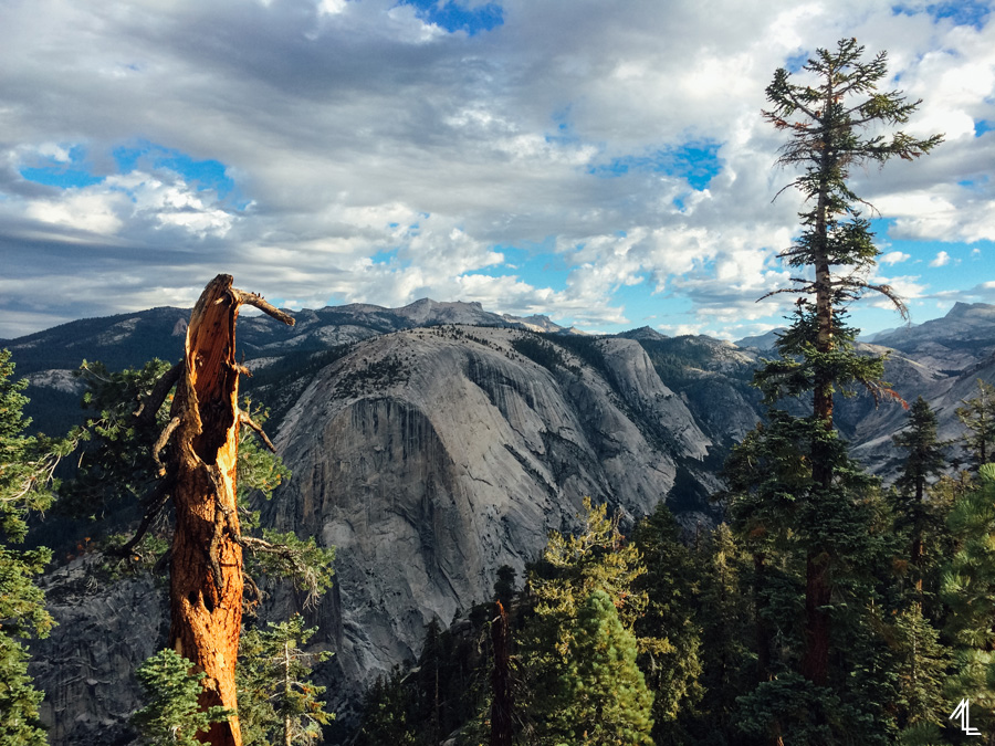 ML-Yosemite-009