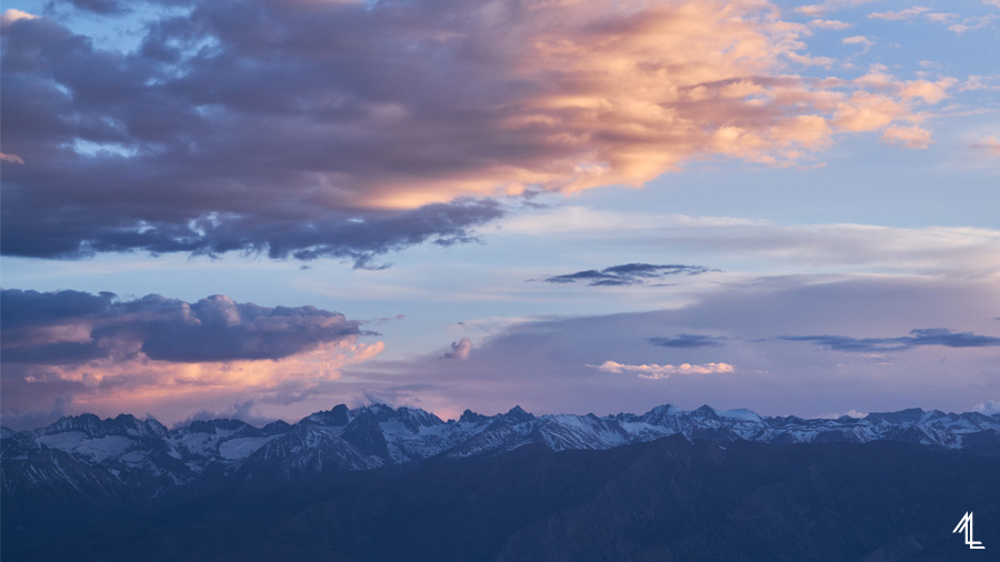 MLEE-Day03-AncientBristlecone-210
