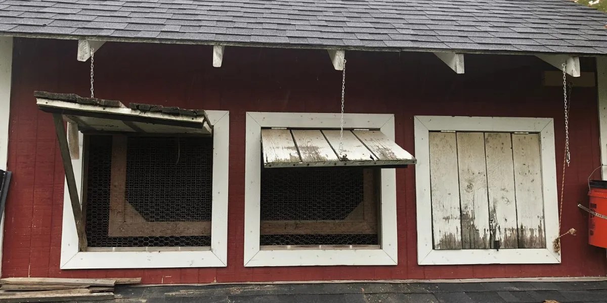 Coop Ventilation and Why it is Important Meyer Hatchery Blog