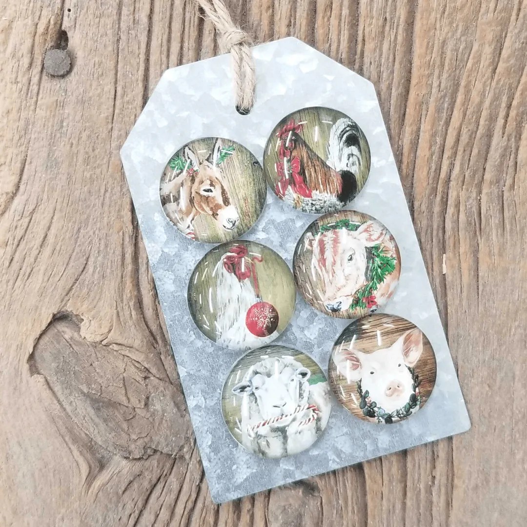 Holiday Gift Guide For You & Your Flock! Meyer Hatchery Blog