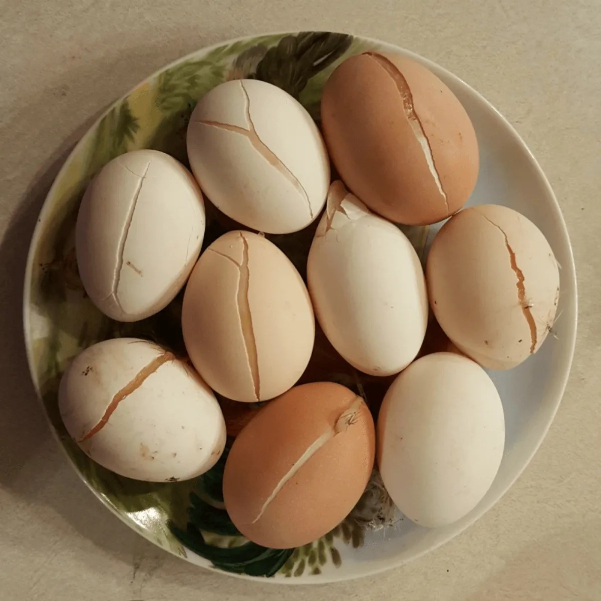 Frozen Egg Tips and Tricks Meyer Hatchery Blog