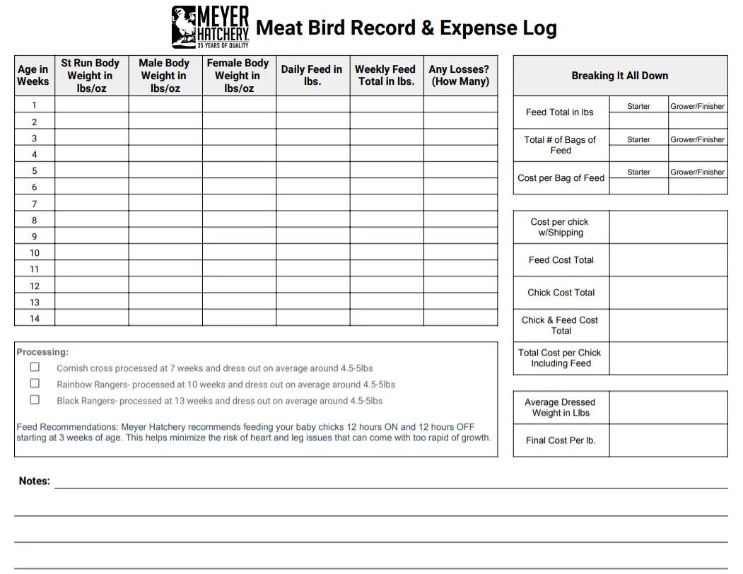All About Meat Birds Meyer Hatchery Blog