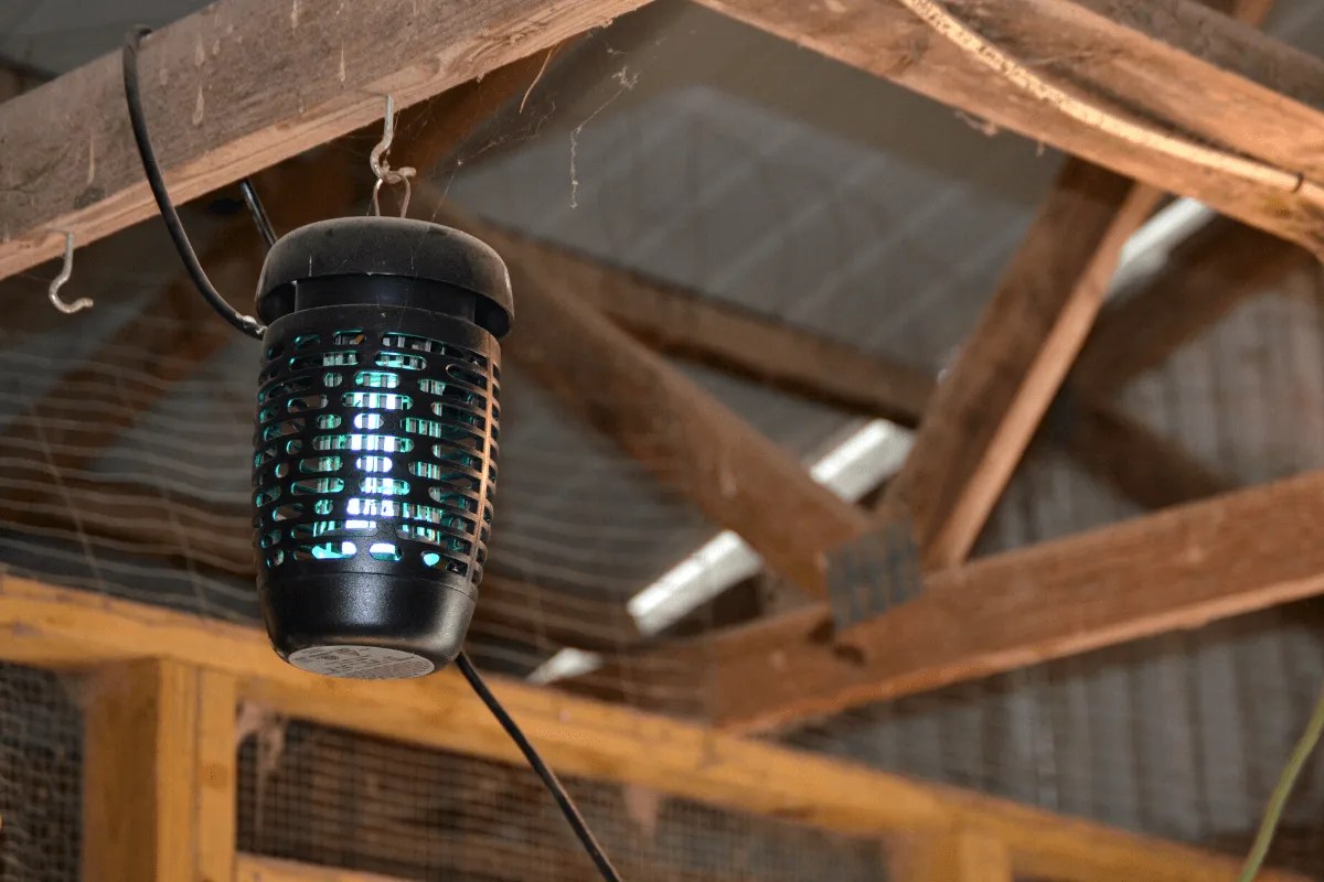 Fly Control In The Chicken Coop Meyer Hatchery Blog