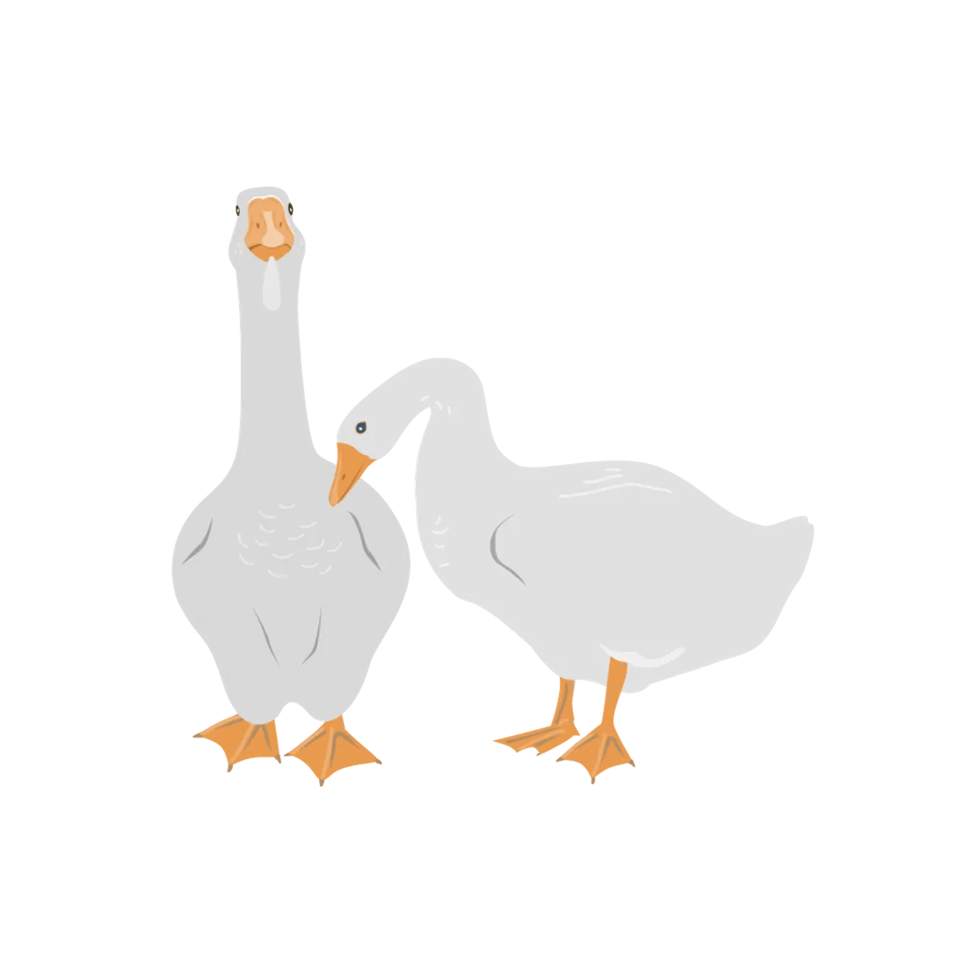 Gardening With Your Flock Meyer Hatchery Blog