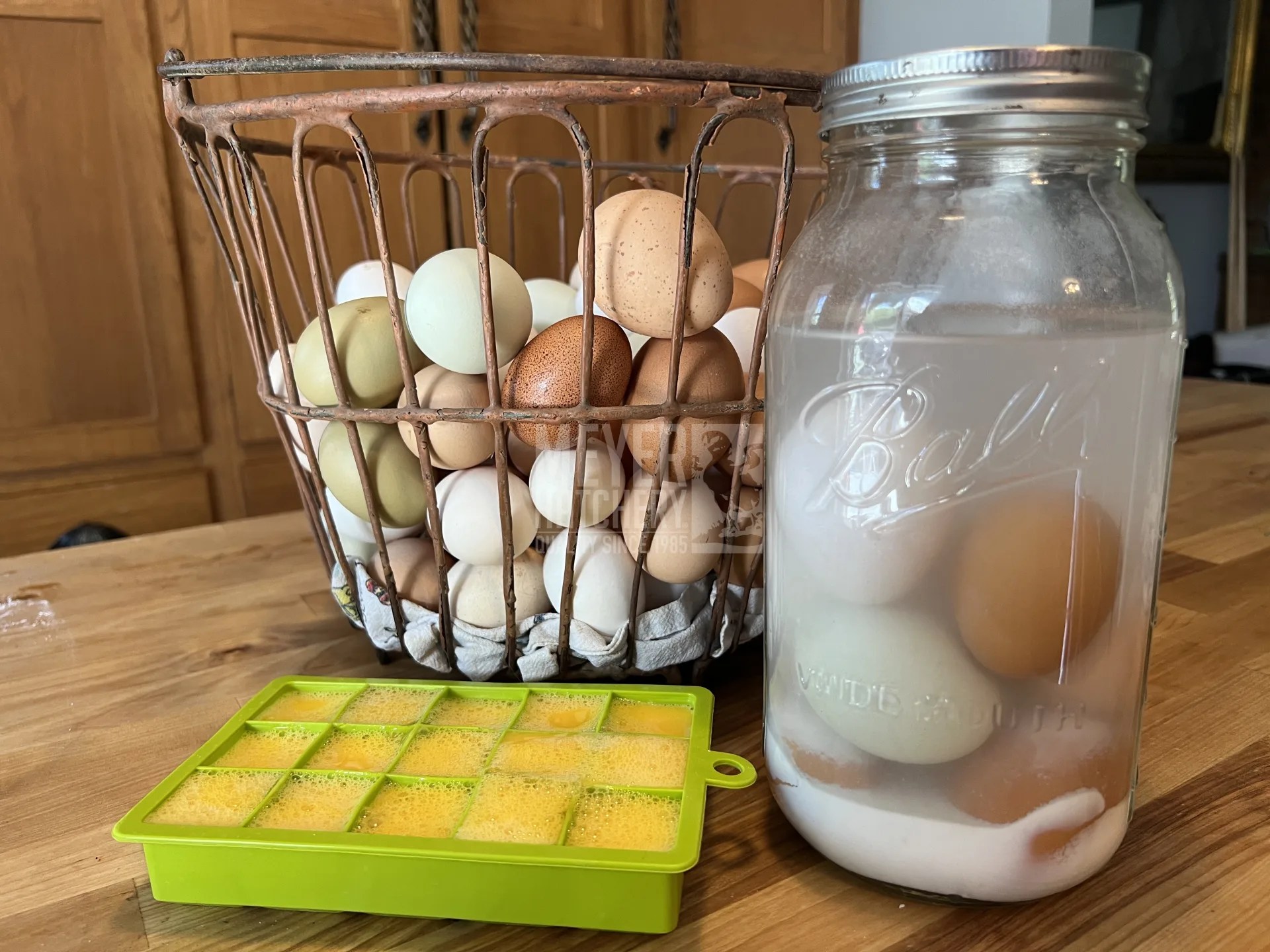 How To Water Glass Eggs Meyer Hatchery Blog