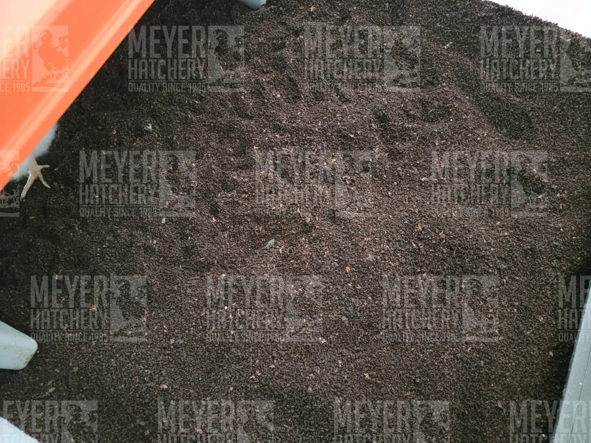 Coffee Ground Bedding For Ducks Store head.hesge.ch