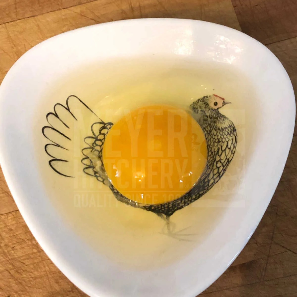 How To Check Eggs For Fertility Meyer Hatchery Blog