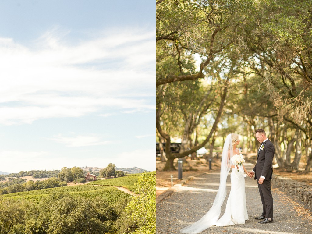 Chalk Hill Winery Wedding Photography By Mike Larson Mike & Rachel Larson