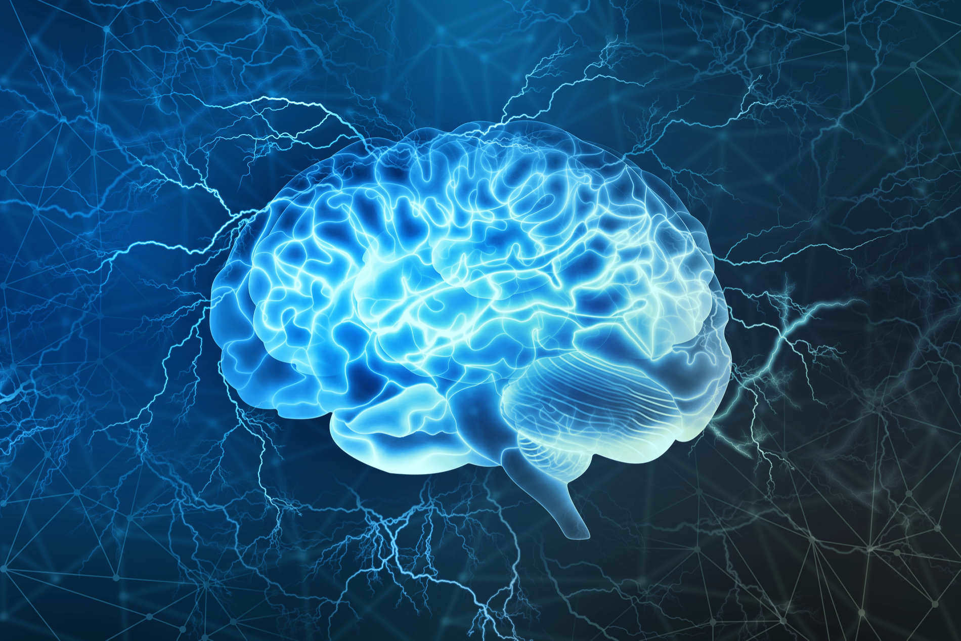 Is The Brain A Muscle? The Truth About The Brain