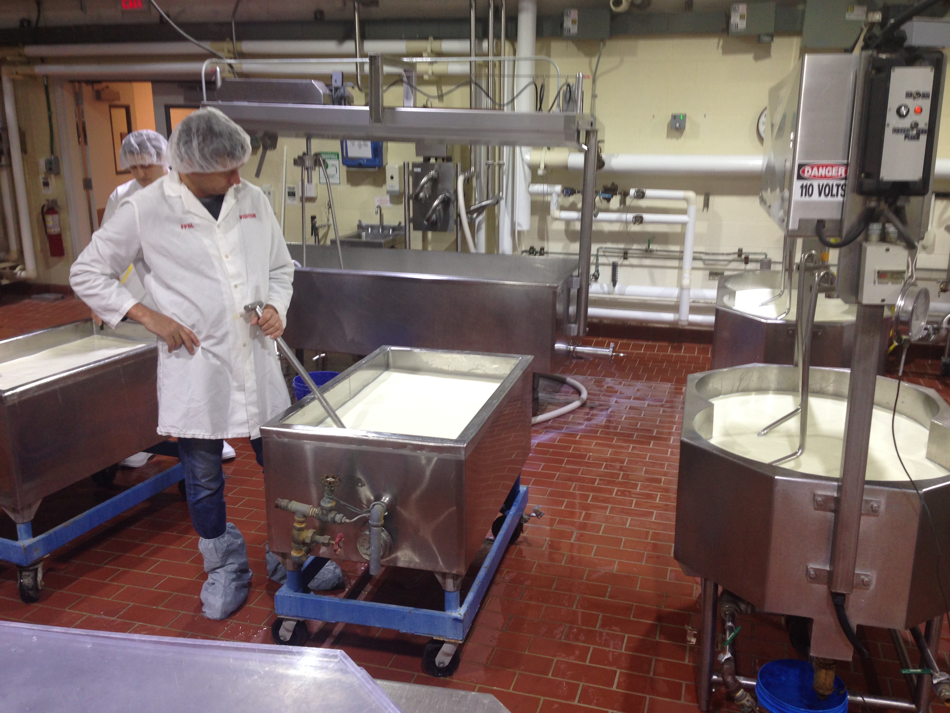 Murray's is Making Cheese! Introducing Ezra Murray's Cheese Blog