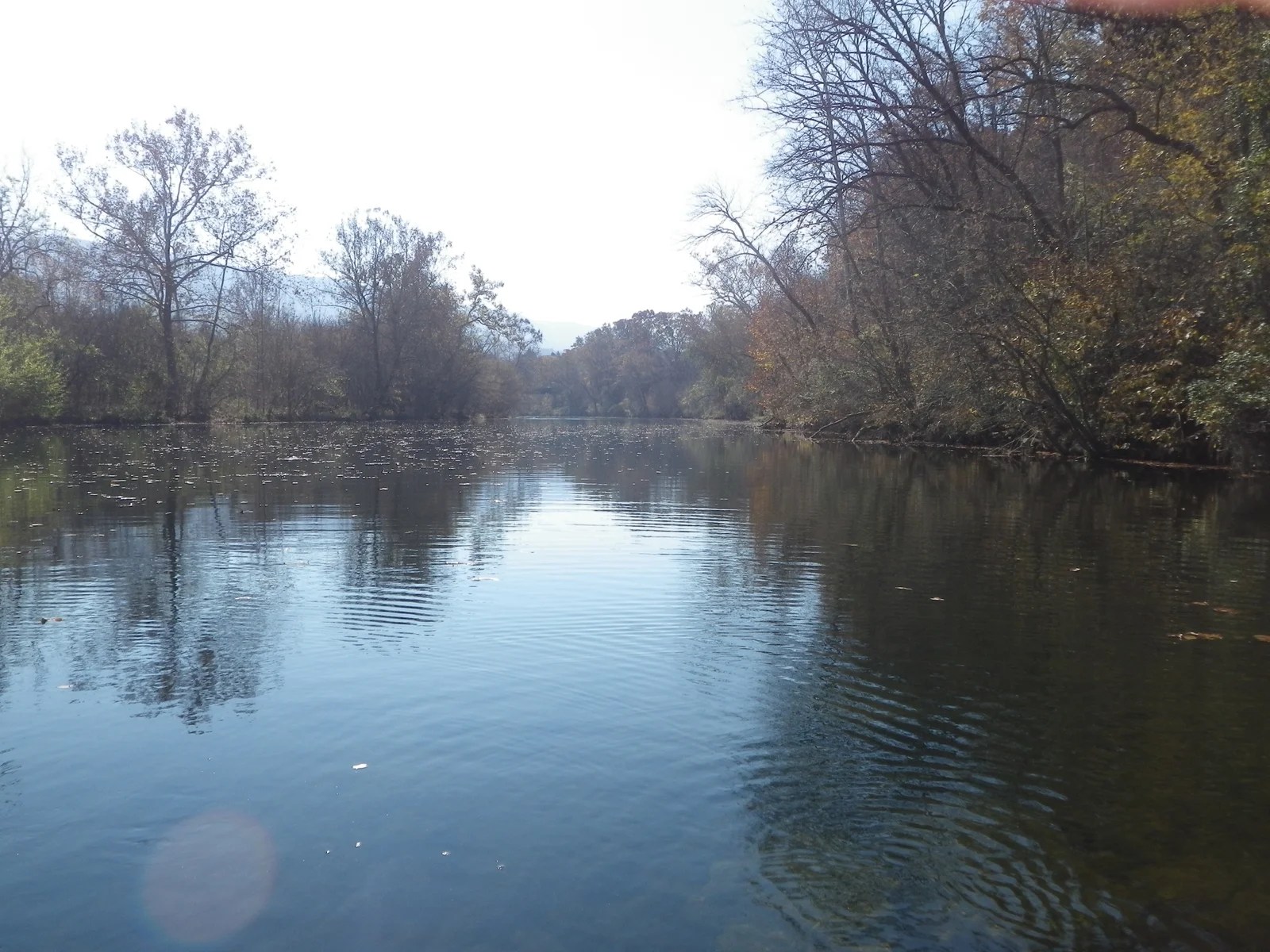 north fork shenandoah river Archives Fly Fishing Blog The View From