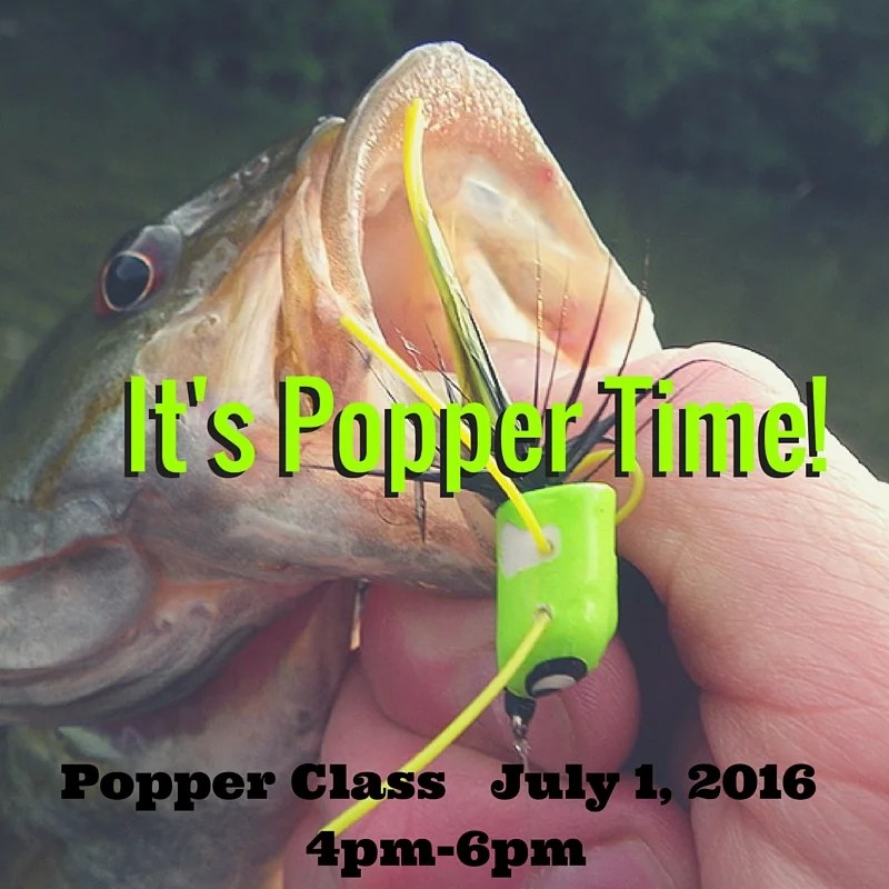 Learn to catch Smallmouth Bass on Popping Bugs The View From Harrys