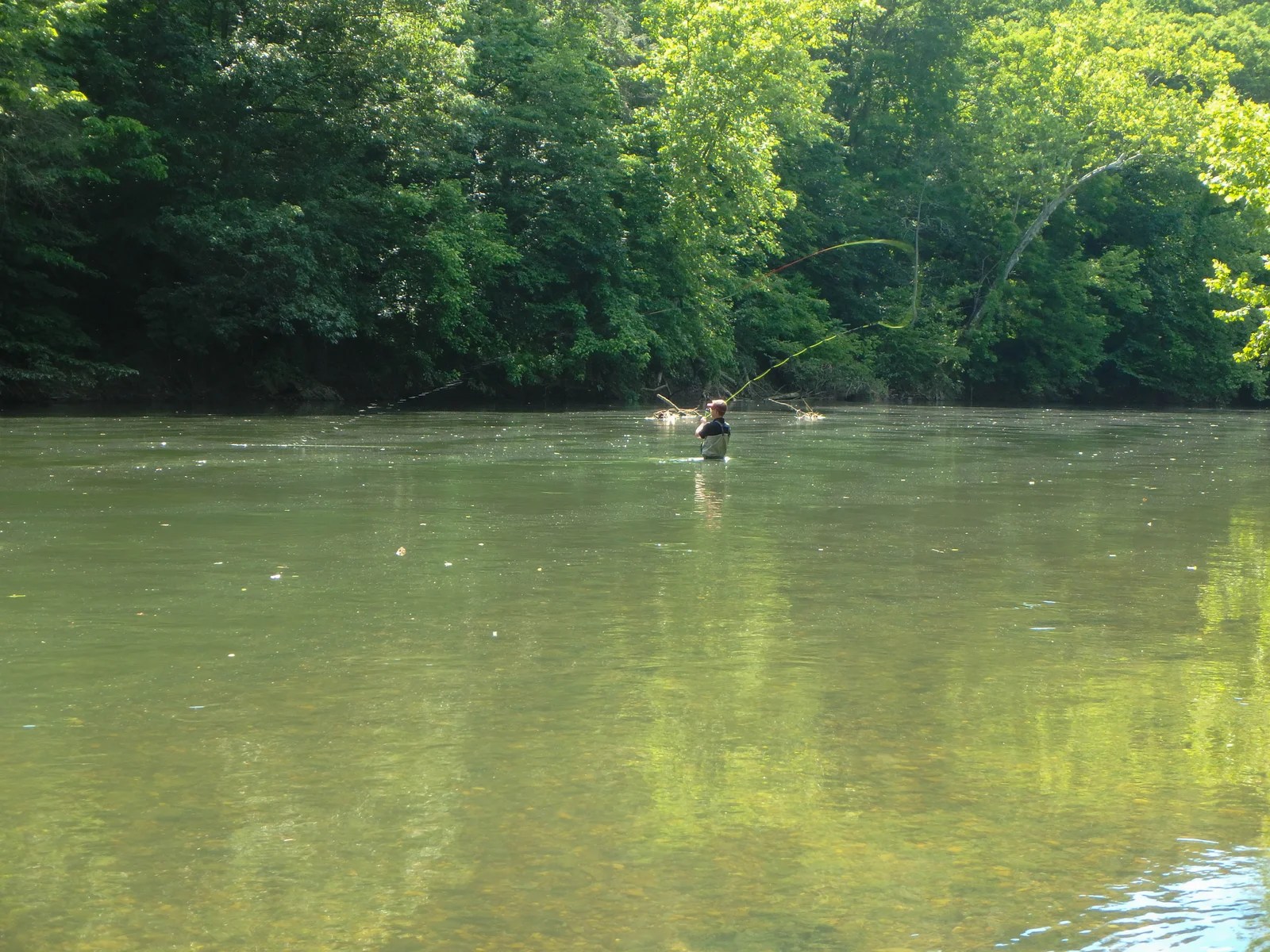 Fly Fishing Articles Learn to Fly Fish or Brush up on your Skills The View From Harrys