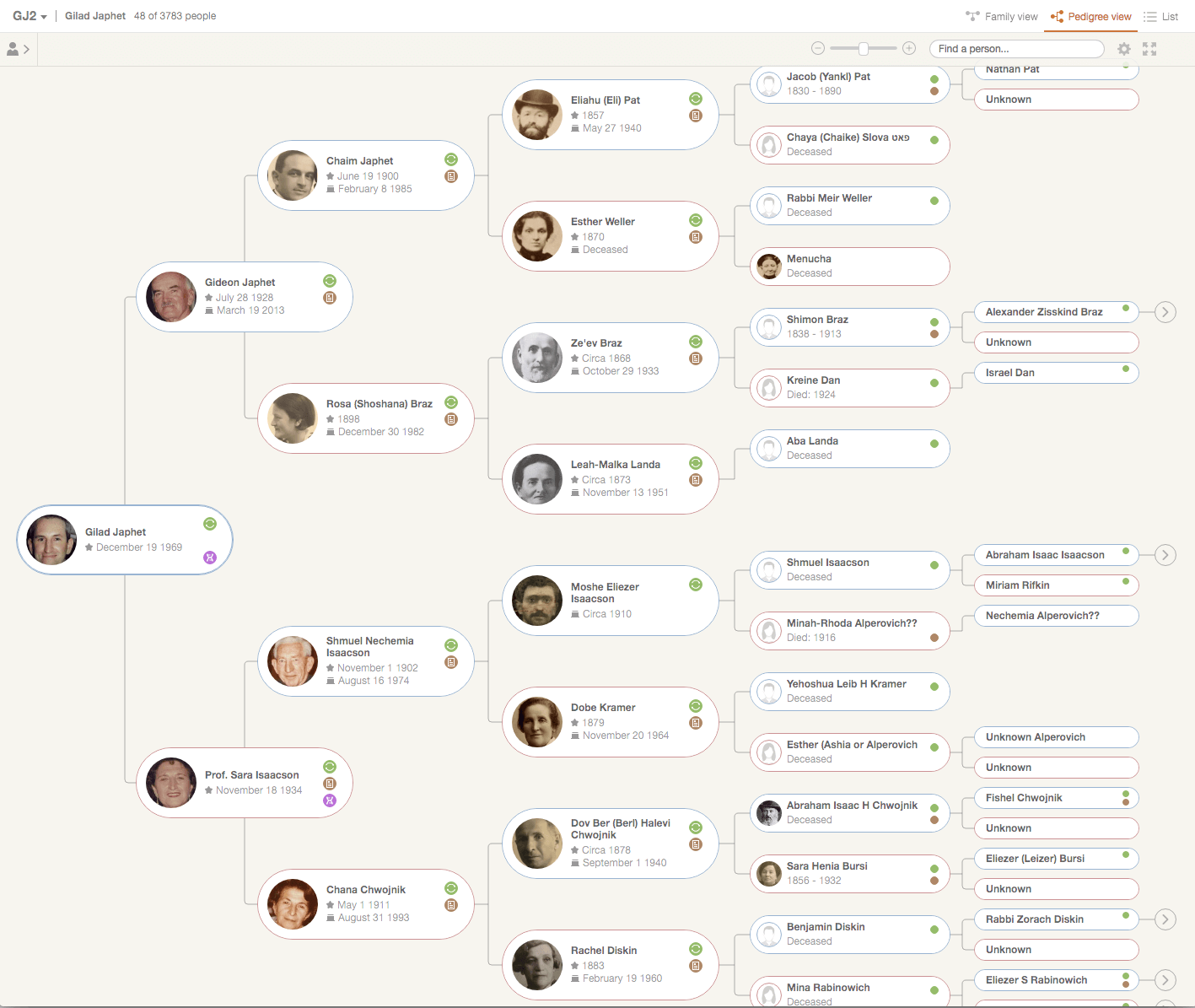 Understanding Pedigree Charts A Comprehensive Guide MyHeritage Blog