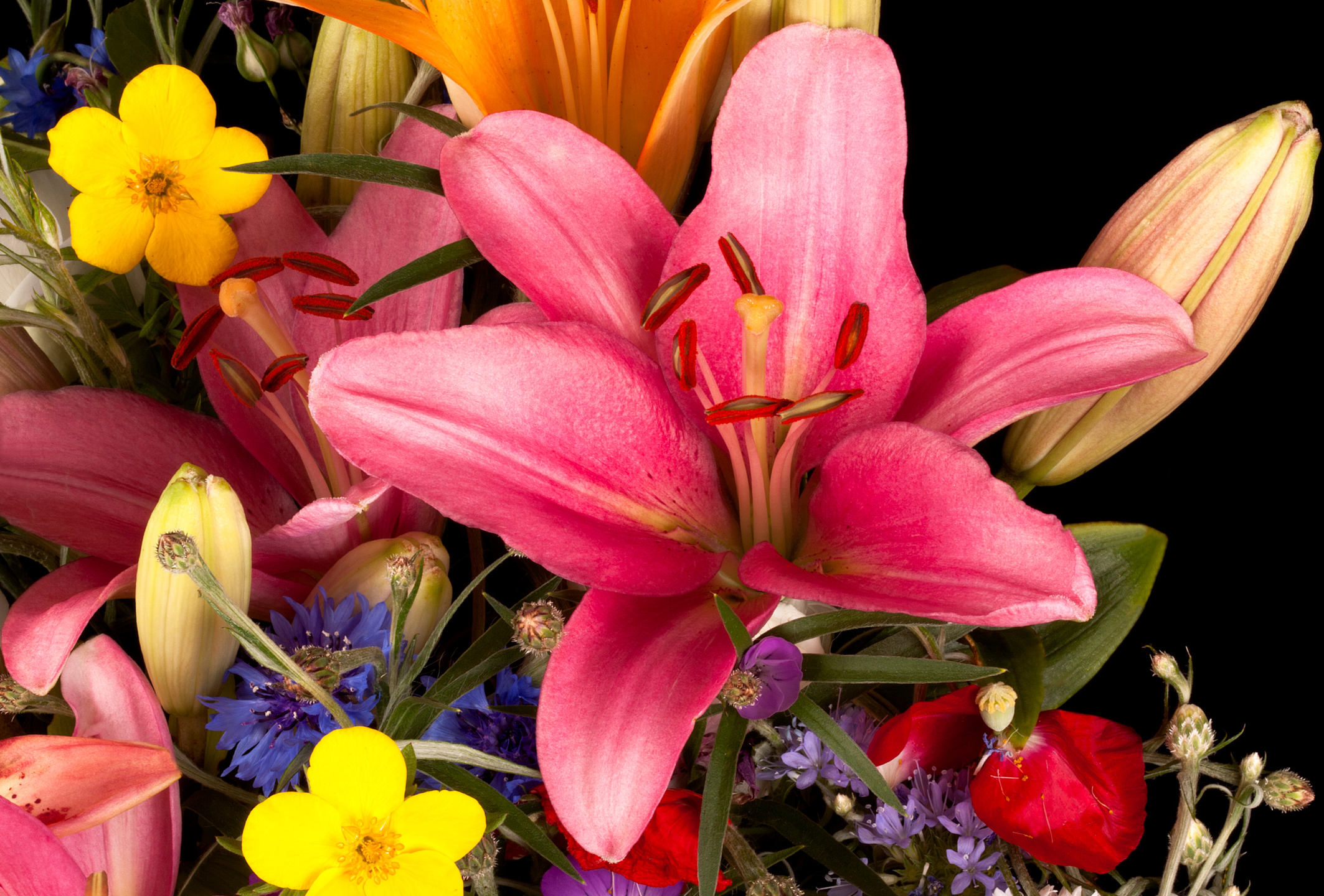 Why Do Flowers Make You Feel Good About Yourself? MyStart