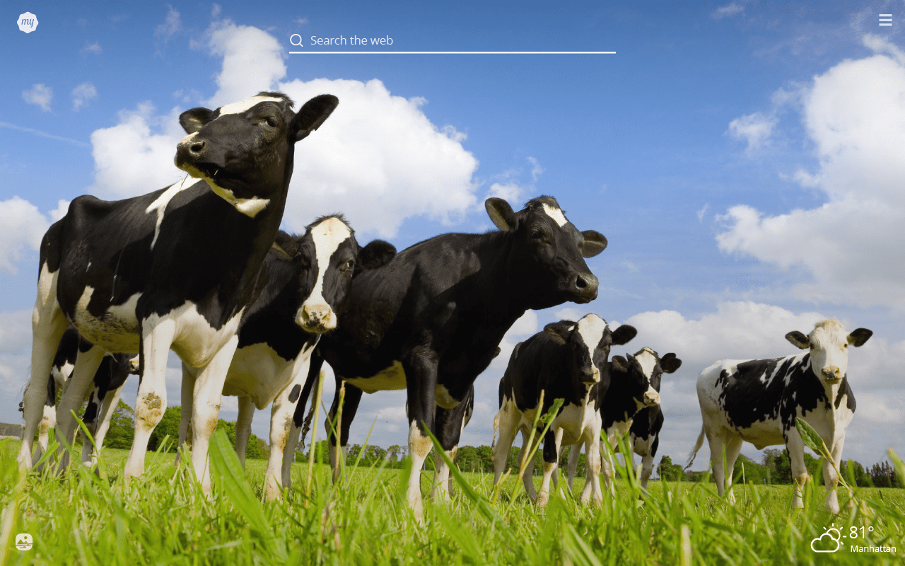 My Cows HD Wallpapers New Tab Theme MyStart