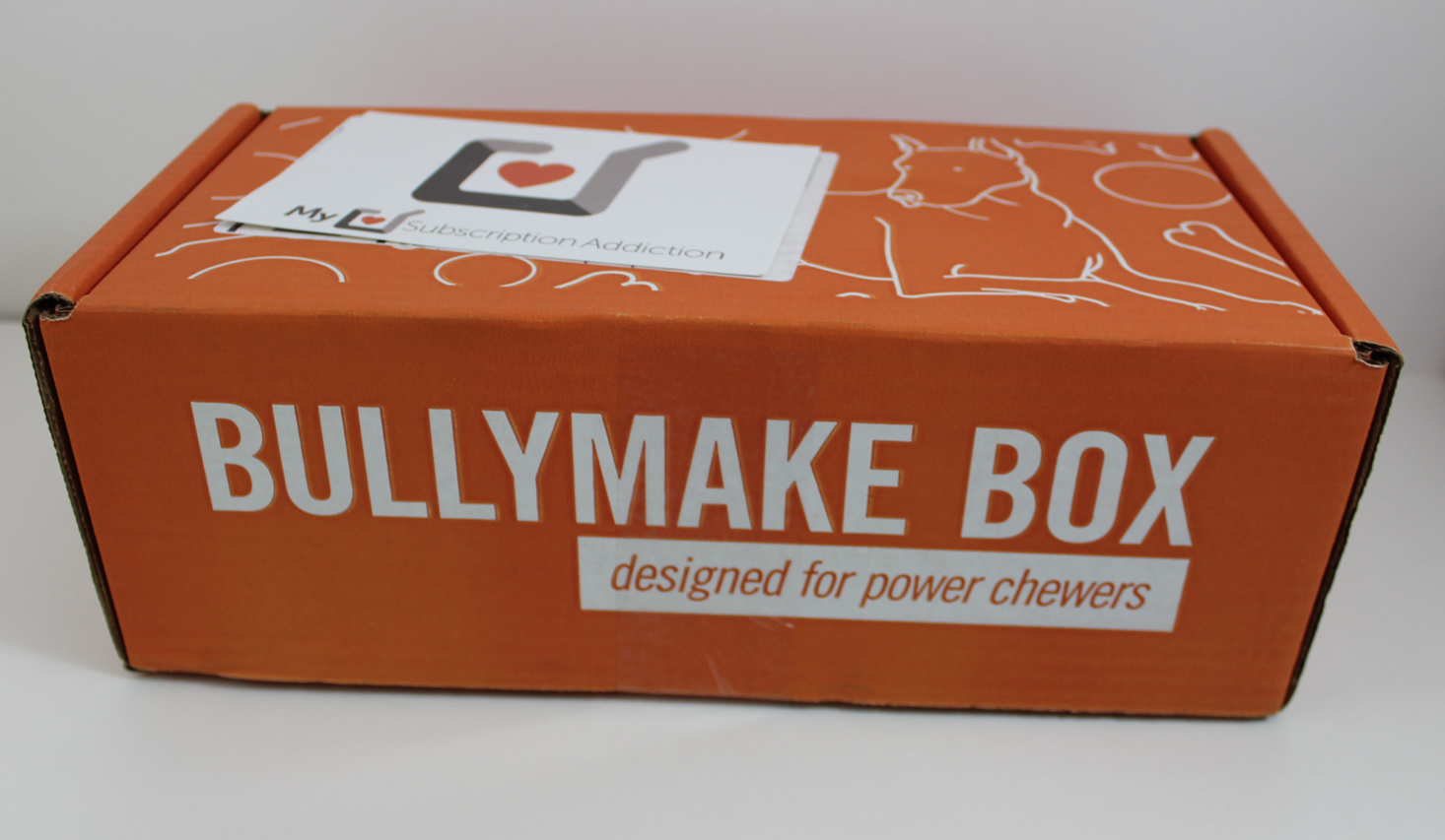 Bullymake Box Subscription Review + Coupon December 2017 MSA