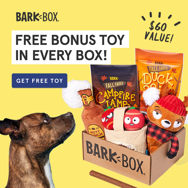 BarkBox Coupon Free Toy in EVERY Box! MSA