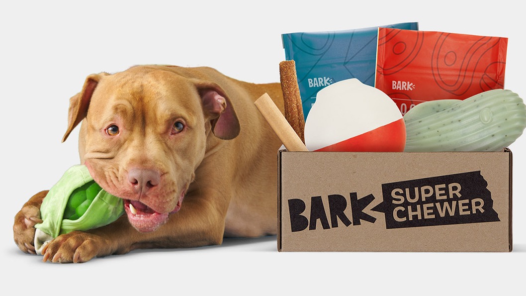 Barkbox SuperChewer Get a “Totally Normal” 420 Toy with a New 6 or 12 Month Signup! My