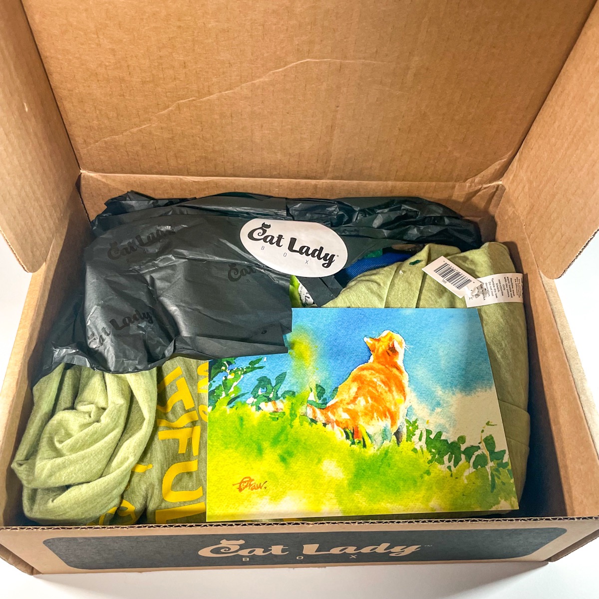 Cat Lady Box Subscription March 2022 Review + Coupon MSA