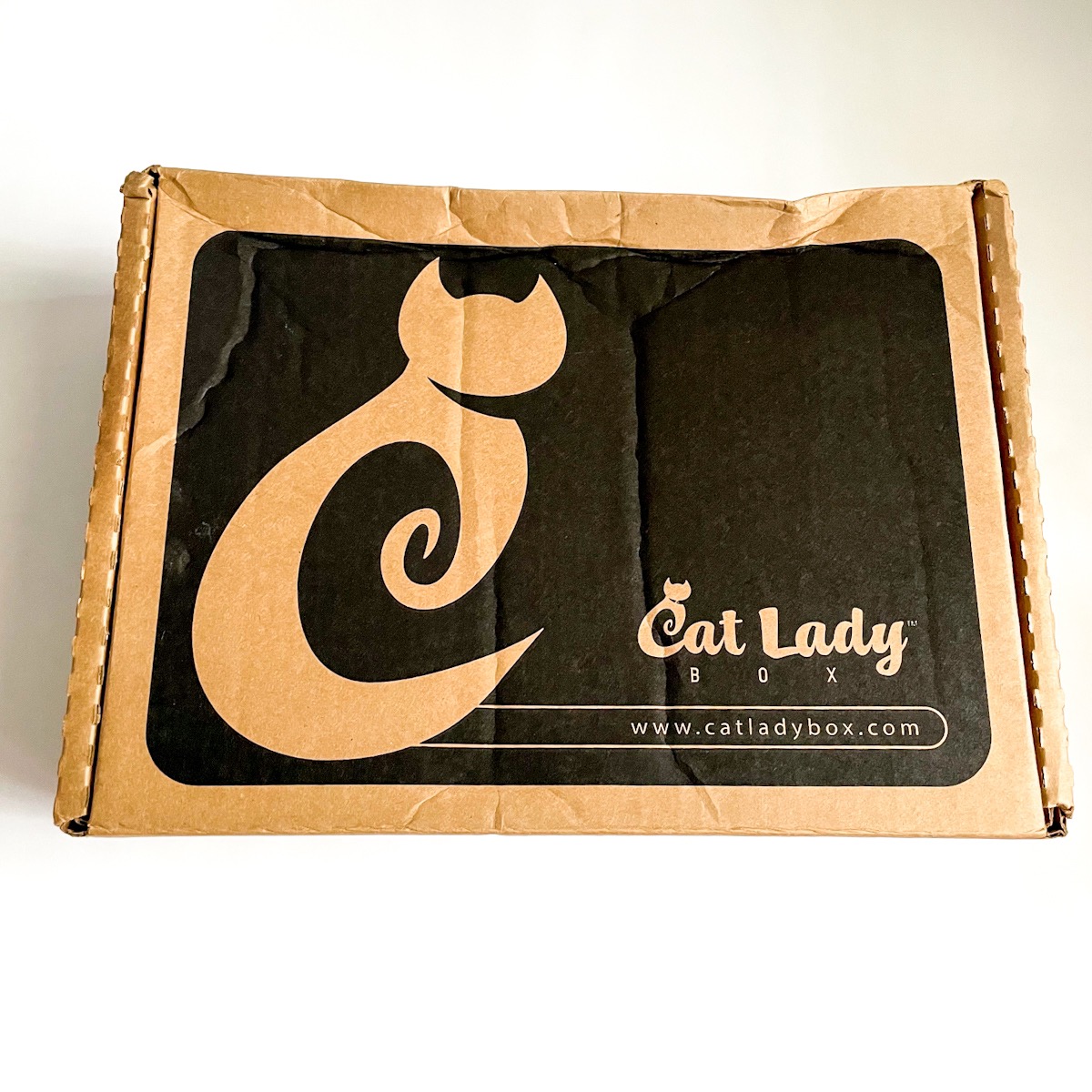 Cat Lady Box Subscription May 2022 Review + Coupon MSA