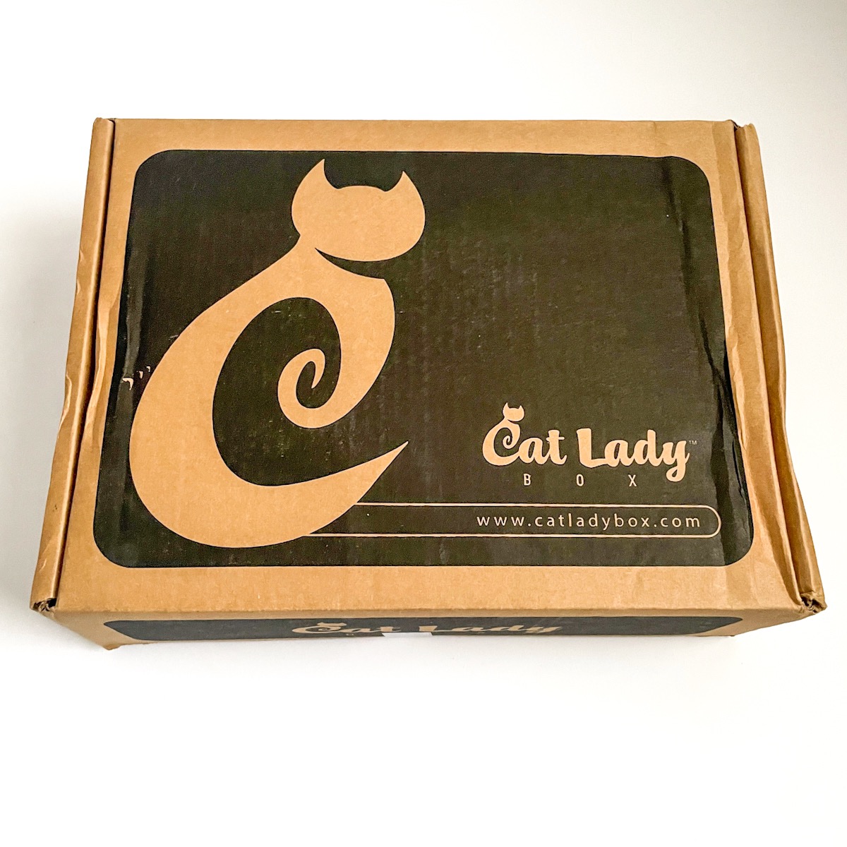 Cat Lady Box Subscription December 2022 “The Perfect Gift” Box Review MSA