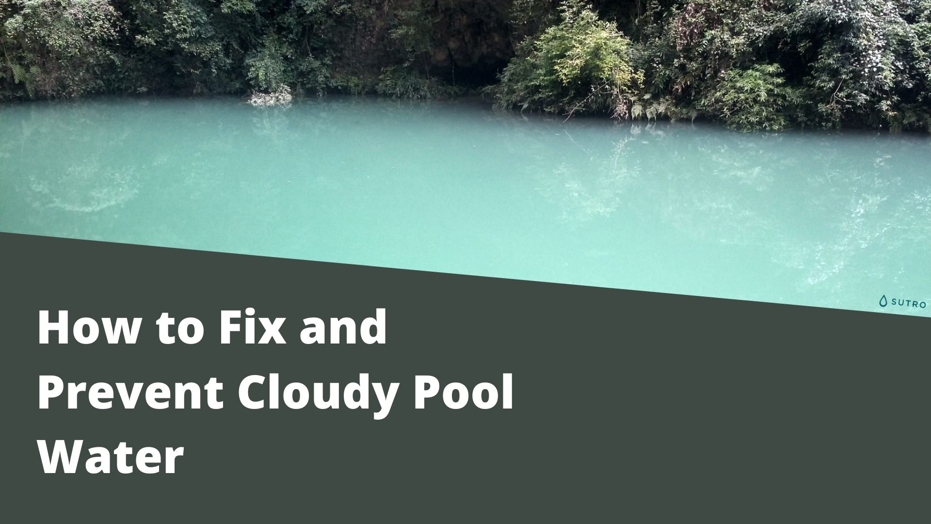 Cloudy Pool Water? Here's how to clear it in 6 easy steps!
