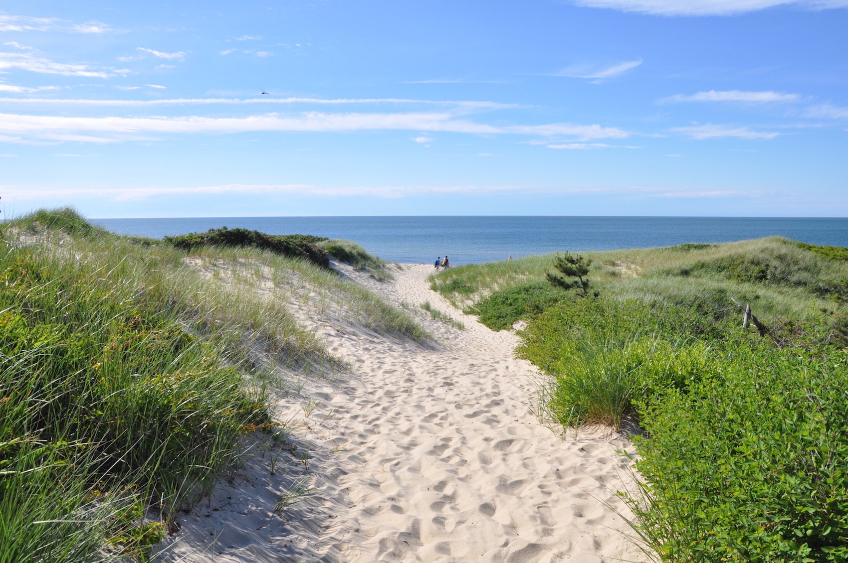 The truth behind your favorite Nantucket limericks, where they began...