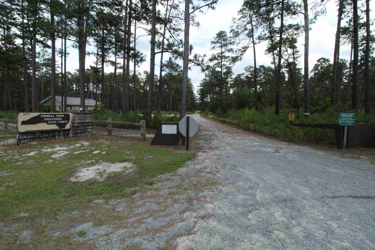 Experience the splendor of fall in a North Carolina state forest In