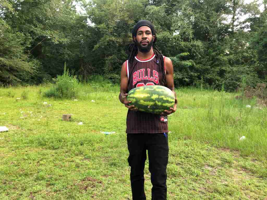 Golden Organics A small farm making a big difference In the Field