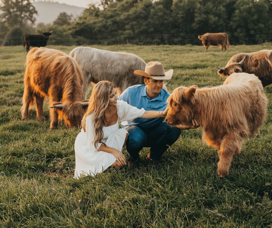 Adventures with Adorable Animals at Crooked Creek Highlands In the Field