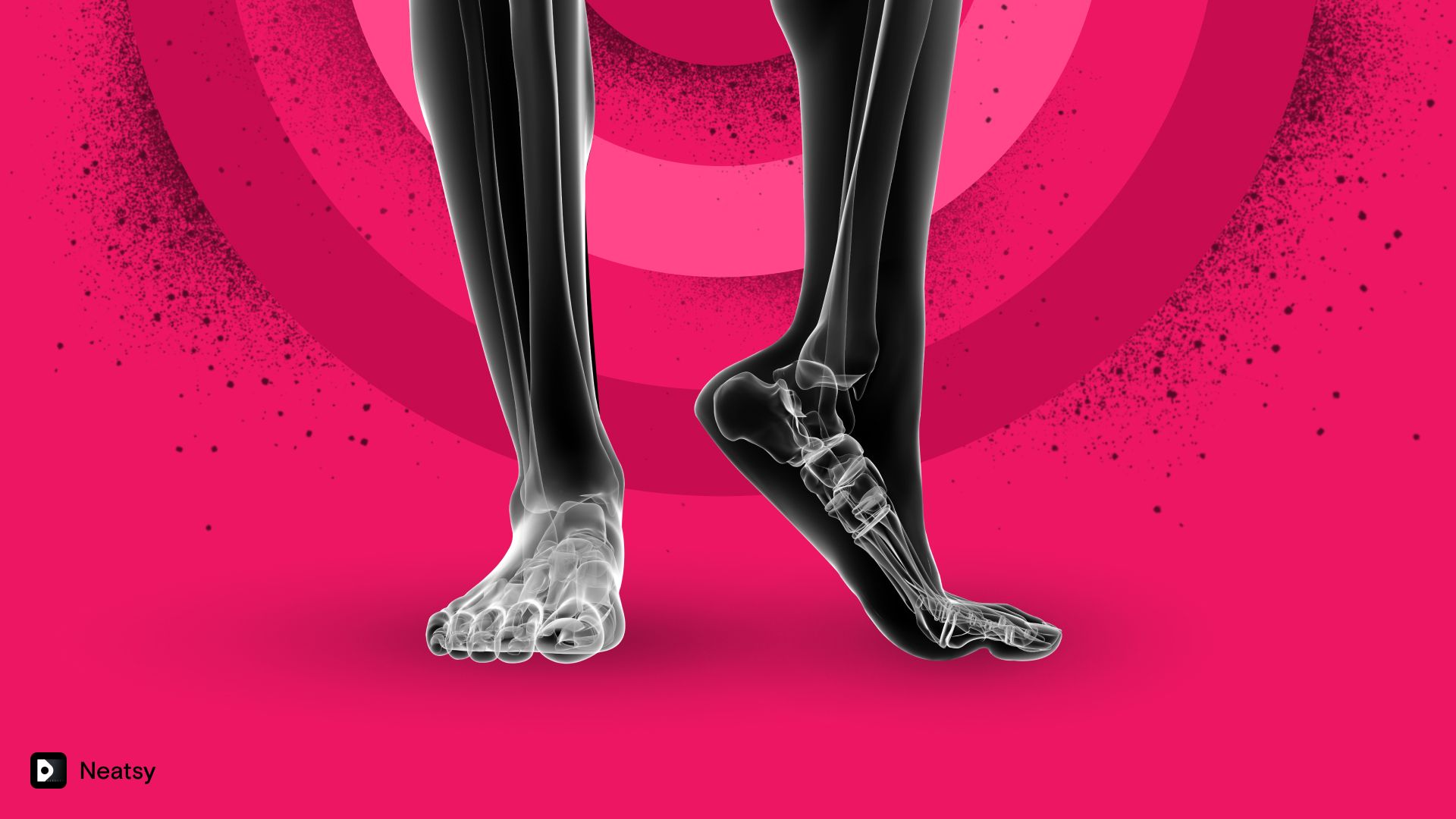 All you need to know about foot bones