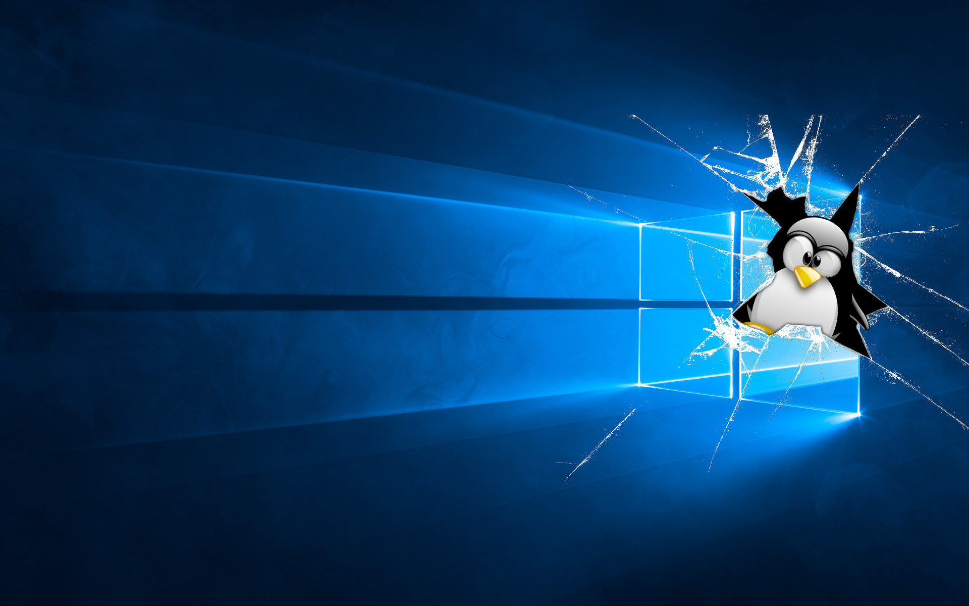 Windows or Linux for your servers? Neterra.cloud Blog