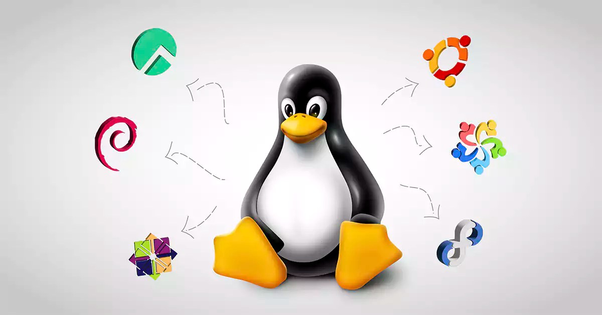 Infographic Top 10 Linux Distributions NeuronVM Blog