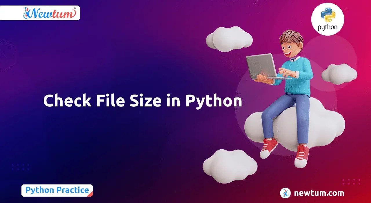 Check the File Size in Python