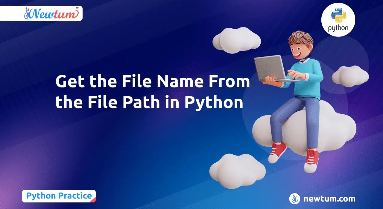 Get the File Name From the File Path in Python