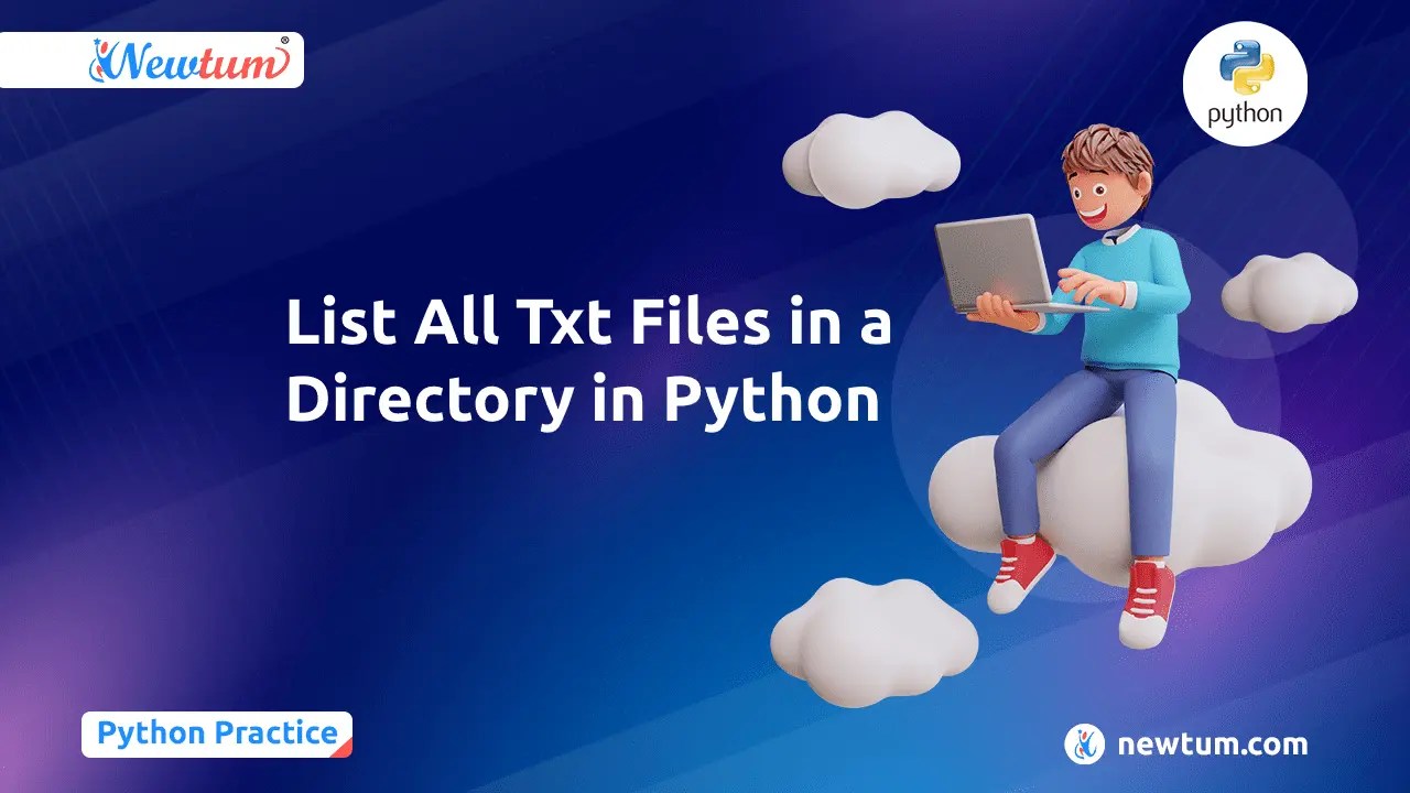 List All Txt Files in a Directory in Python