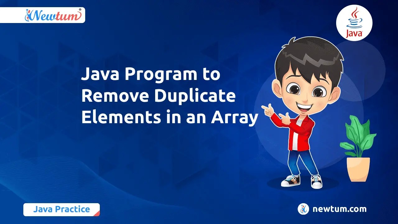 Java Program to Remove Duplicate Elements Methods & Tips