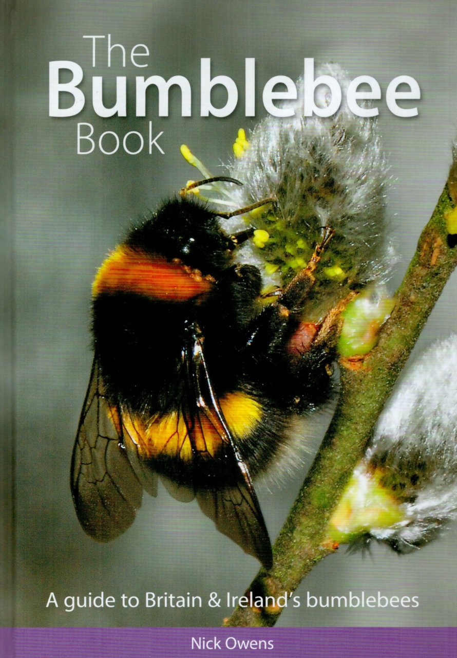 British Wildlife book reviews