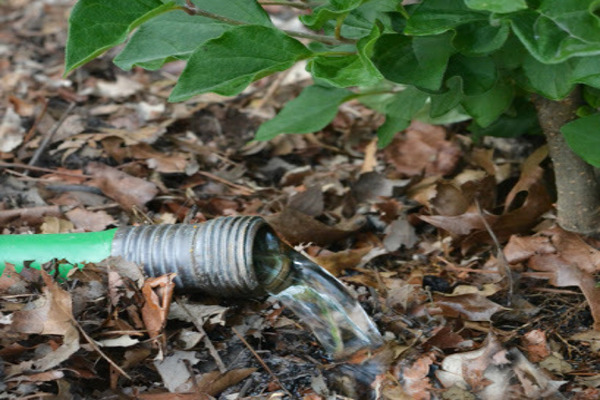 Do You Know What Type Of Water is Suitable for Plants? Blog