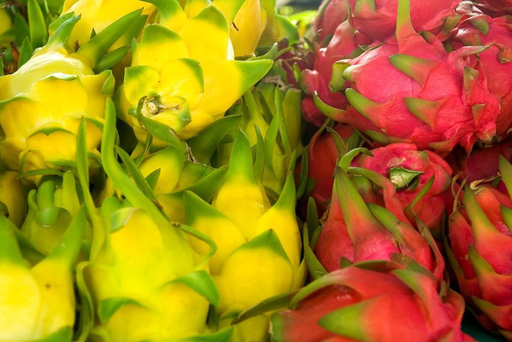 How to Pick a Ripe and Sweet Dragon Fruit(015)