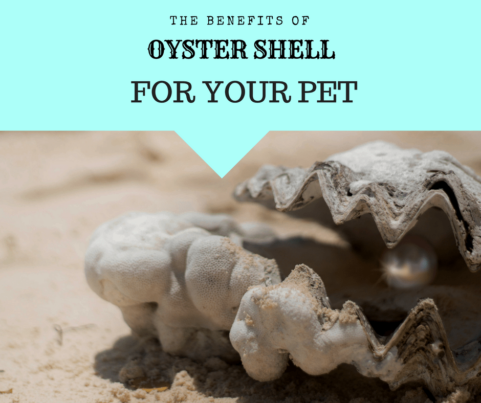 NuVet Plus Pet Health Advices Oyster Shell in Pet Supplements