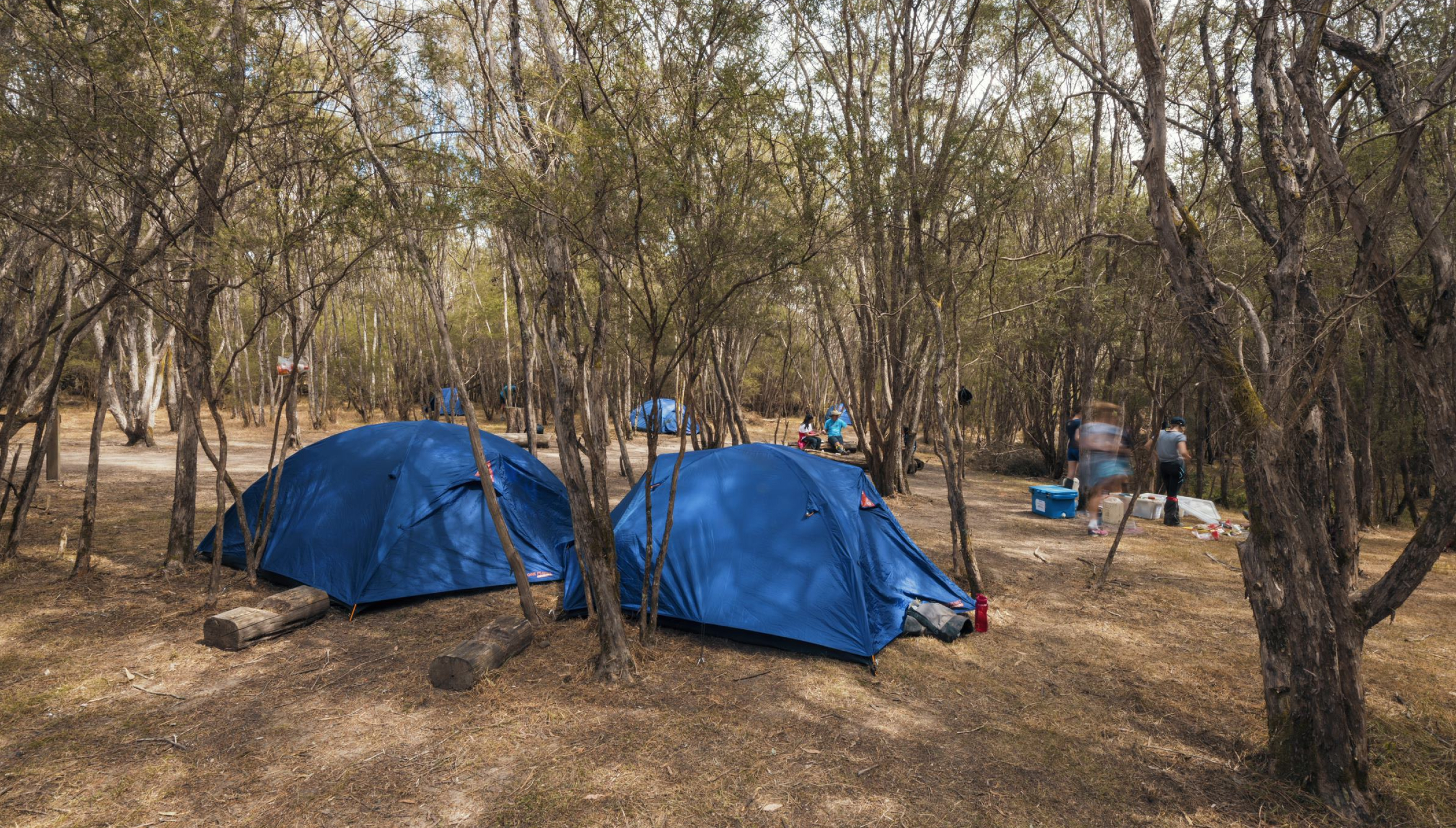 A TYPICAL DAY ON CAMP