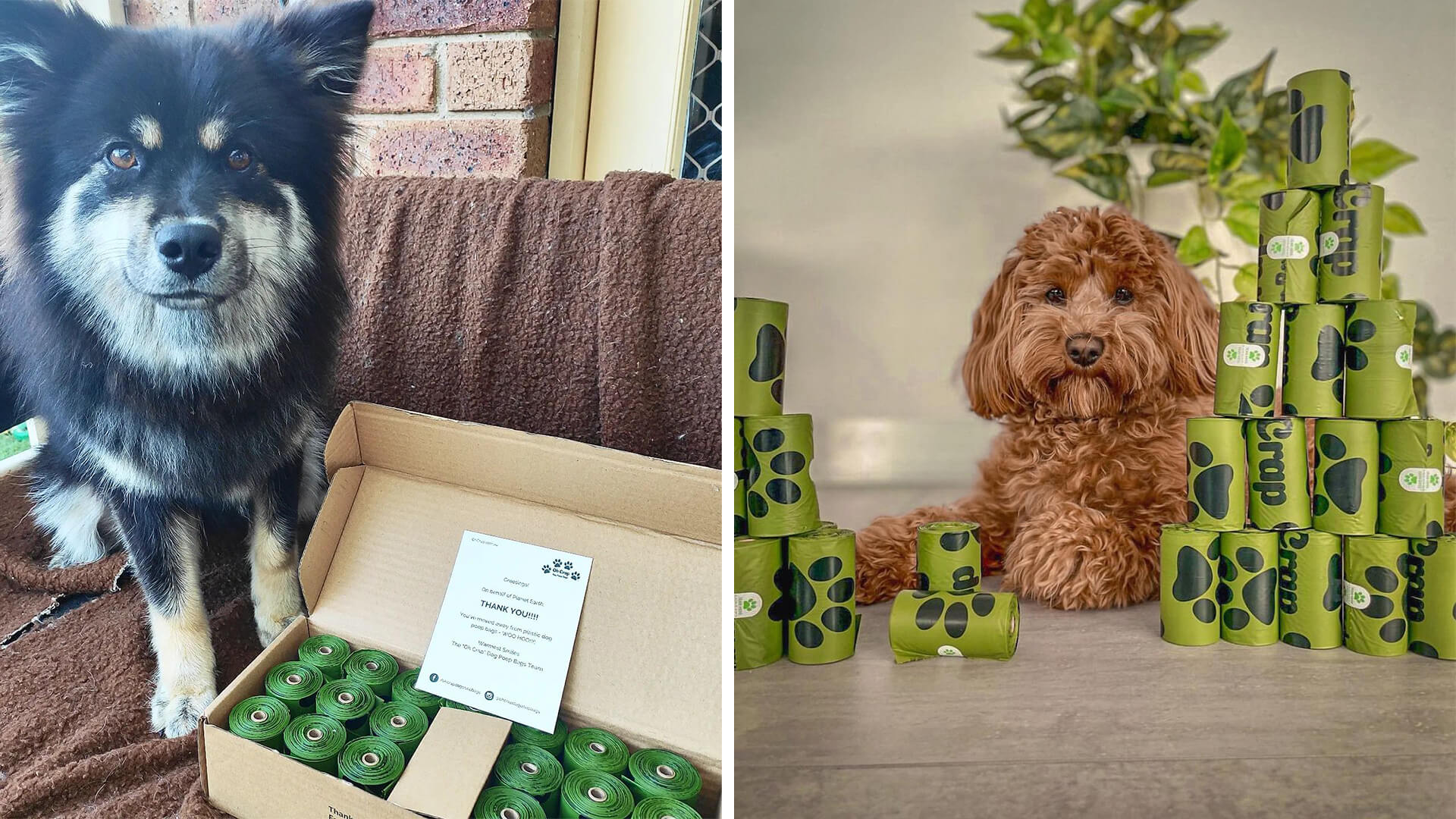 Dog Poop Bags The Ultimate Guide Oh Crap