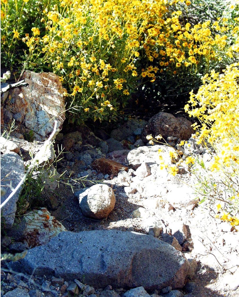 Julie's Blackboard Archives Julie Gilbert Pollard