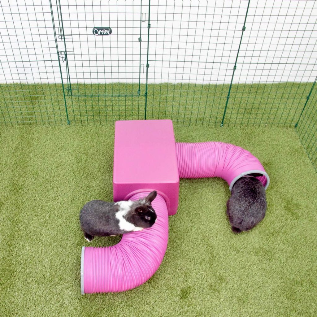 Rabbit Run Checklist for Spring Omlet Blog UK